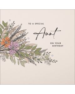 To a special Aunt on your Birthday