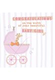 Congratulations on your birth of your beautiful Baby Girl product image